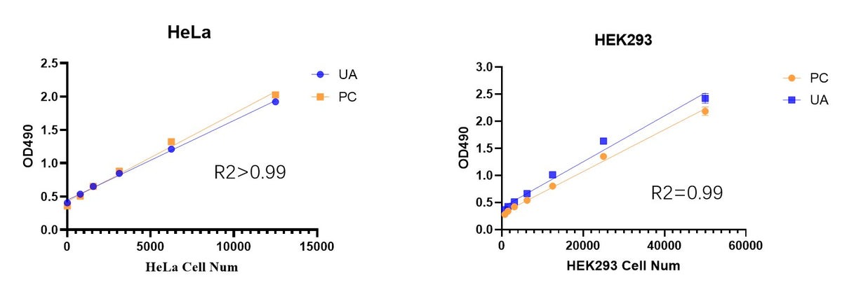 LDH Colorimetry Cytotoxicity Assay