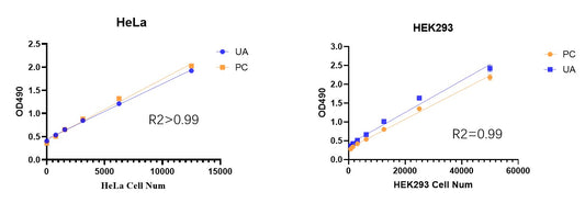 LDH Colorimetry Cytotoxicity Assay