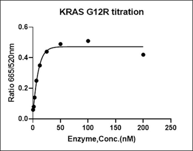 KRAS [G12R] Avi&His Tag Protein, Human(Load GDP/GMPPNP)