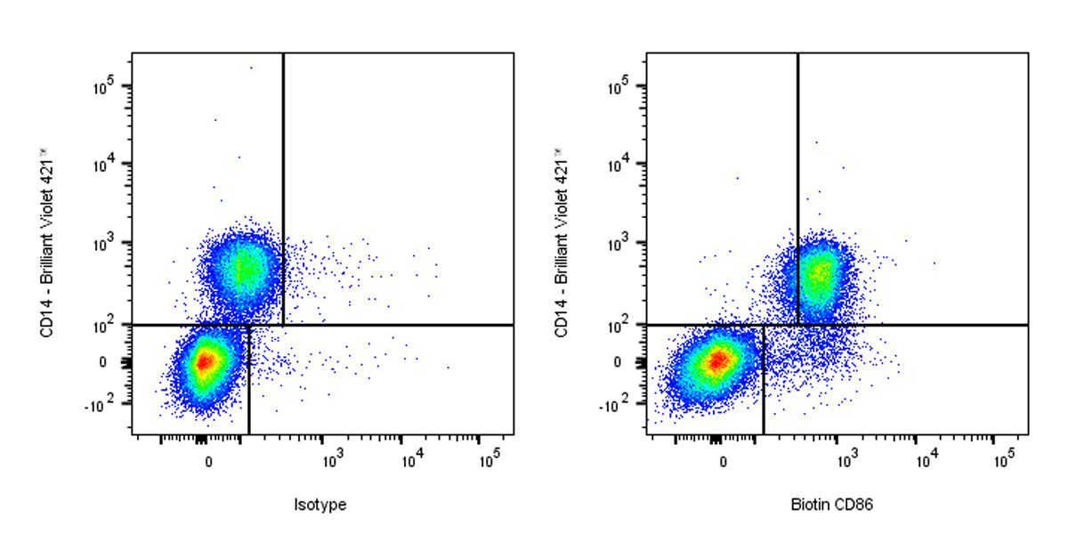 Biotin Mouse Anti-Human CD86 Antibody (IT2.2)