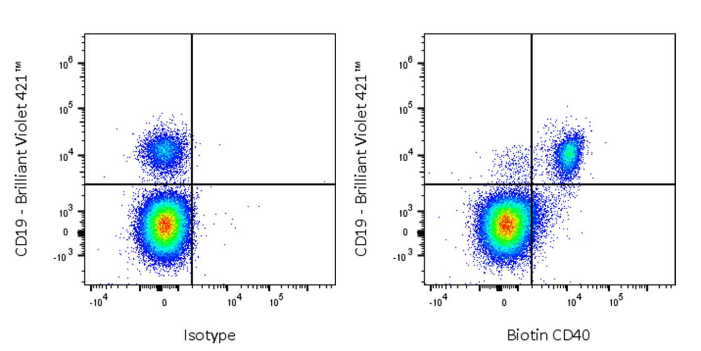 Biotin Mouse Anti-Human CD40 Antibody (HI40a)