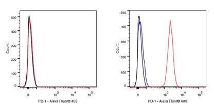 Rat-Anti Mouse PD-1 Antibody (S-798-5)