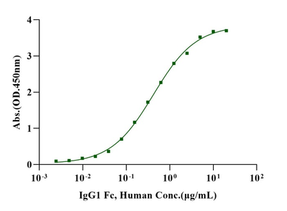 Biotinylated Fc γ RIIA/CD32a(R167) His&Avi Tag Protein, Human