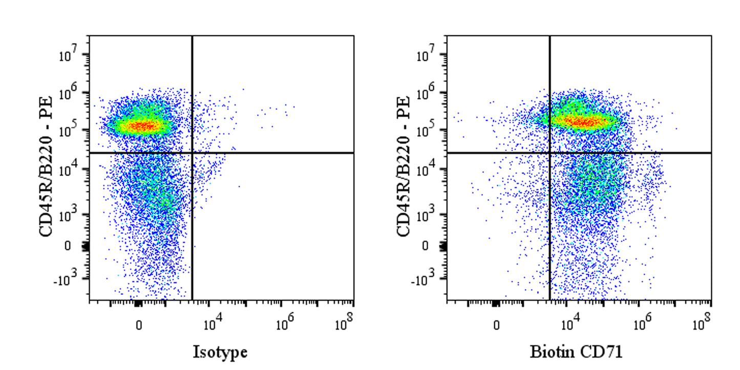 Biotin Mouse Anti-Rat CD71 Antibody (OX-26)