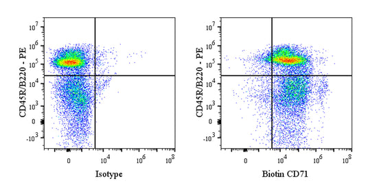Biotin Mouse Anti-Rat CD71 Antibody (OX-26)