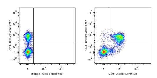 Alexa Fluor® 488 Rat Anti-Mouse CD5 Antibody (53-7.3)