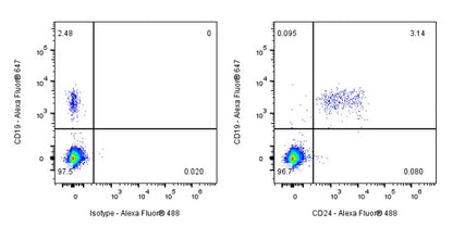 CD24 Recombinant Rabbit mAb (S-974-13)