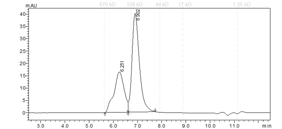 INSR Protein