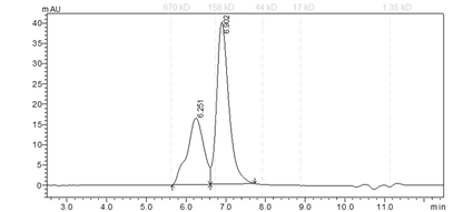 INSR Protein