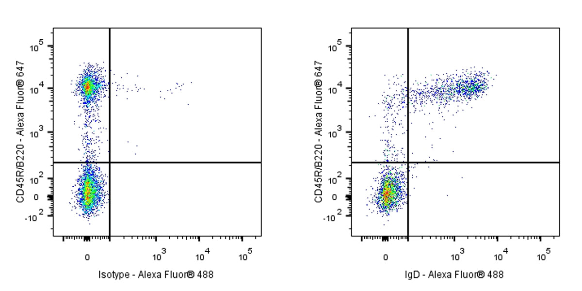 Rat Anti-Mouse IgD Antibody (S-R622)