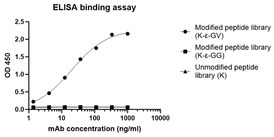S-RMabMix™ K-ε-GV Rabbit mAb