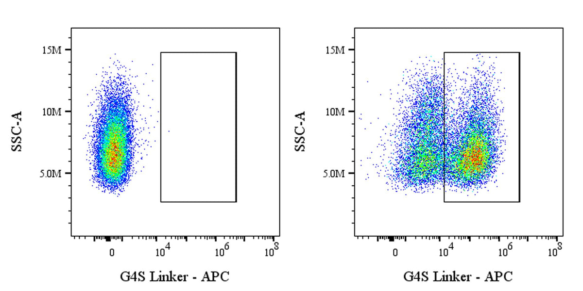 G4S Linker Recombinant Rabbit mAb (APC Conjugate) (S-711-23)