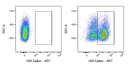 G4S Linker Recombinant Rabbit mAb (APC Conjugate) (S-711-23)