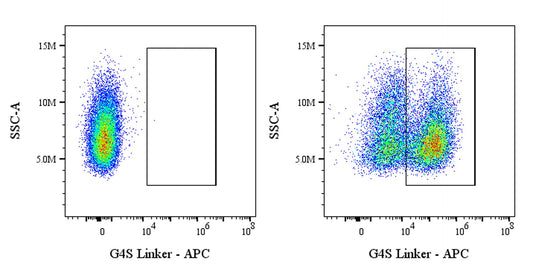 G4S Linker Recombinant Rabbit mAb (APC Conjugate) (S-711-23)
