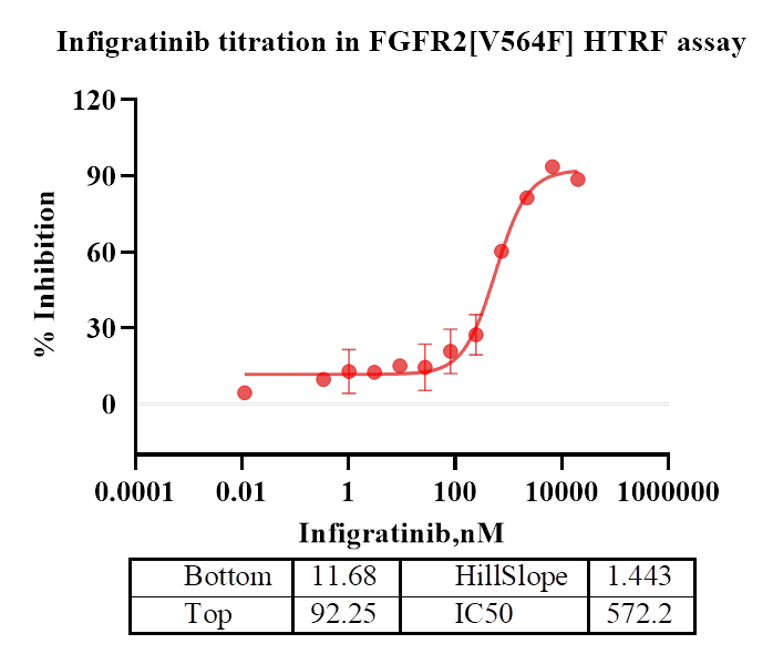 FGFR2[V564F] Protein
