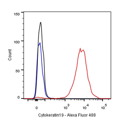 Cytokeratin 19 Recombinant Rabbit  mAb,PBS Only (SDT-107-19)