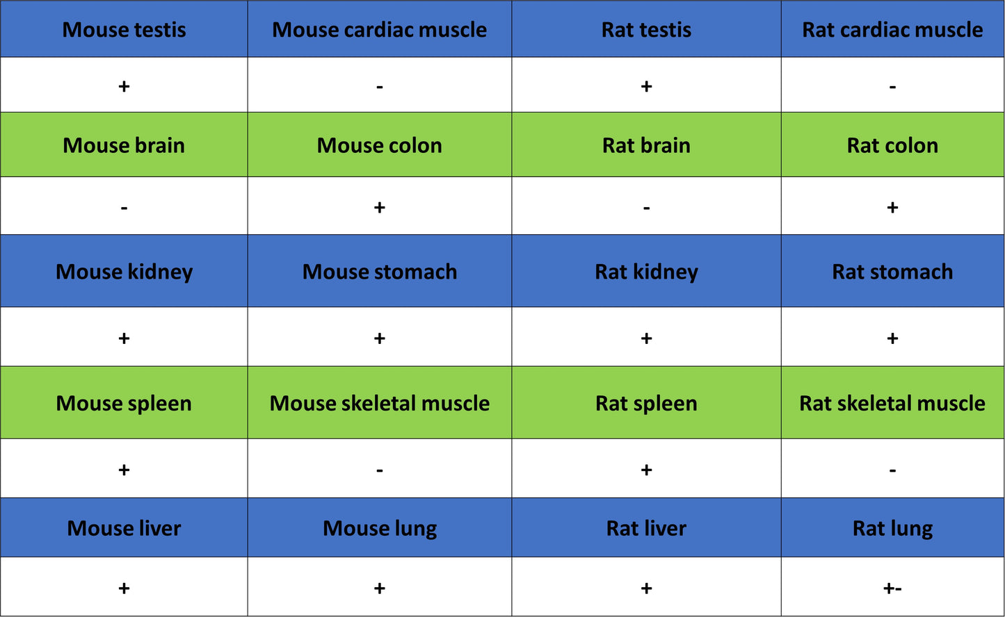 PCNA Recombinant Rabbit mAb (S-5313)