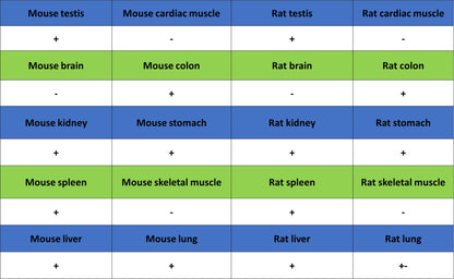 PCNA Recombinant Rabbit mAb (S-5313)