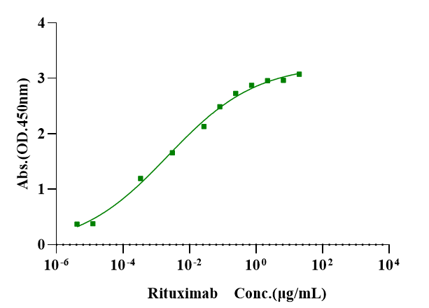 Biotinylated CD20 Flag&Avi Tag Full Length Protein, Human (Detergent)