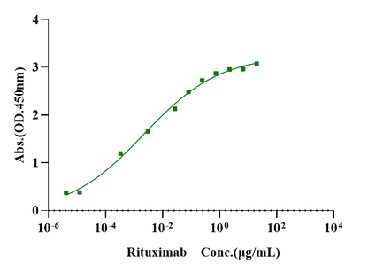 Biotinylated CD20 Flag&Avi Tag Full Length Protein, Human (Detergent)