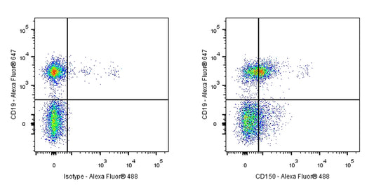 Rat Anti-Mouse CD150 Antibody (S-R738)