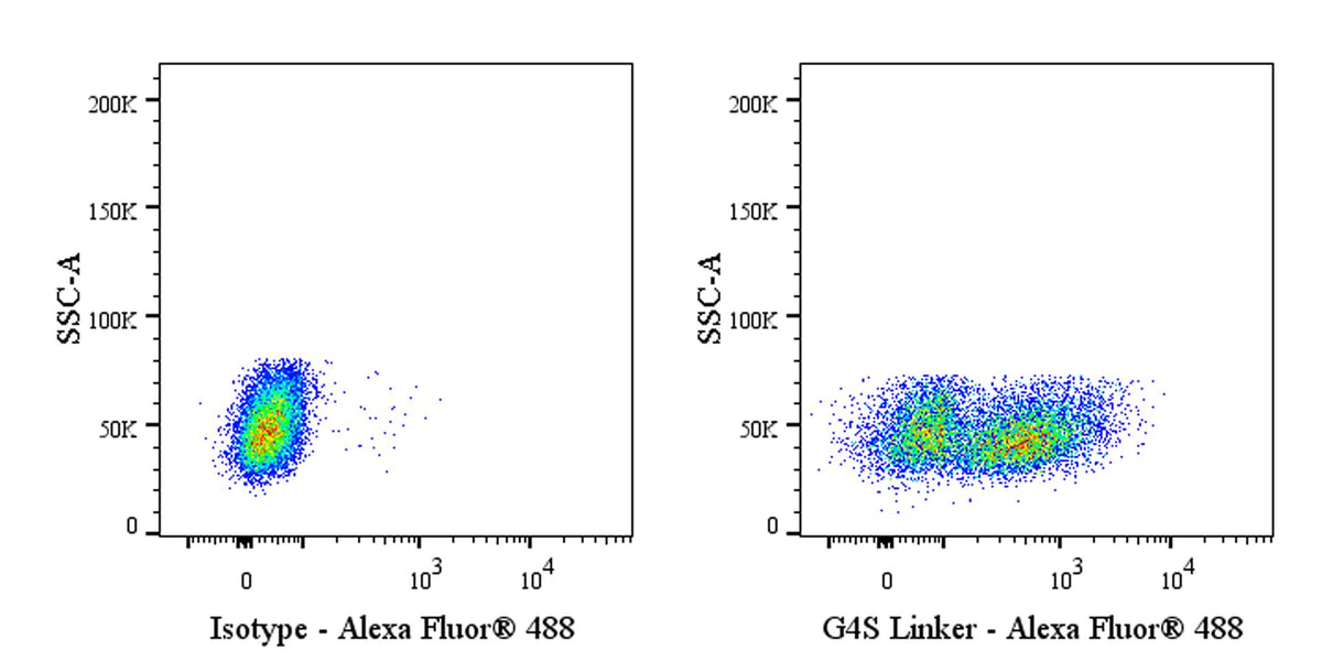 G4S Linker Recombinant Rabbit mAb (S-711-23)