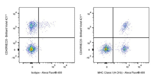 Invivo Anti-Mouse MHC Class I (H-2Kb) Recombinant mAb