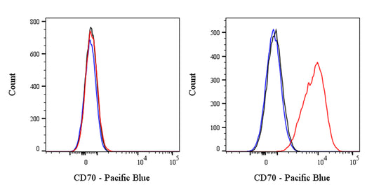 Pacific Blue Mouse Anti-Human CD70 Antibody (Ki-24)