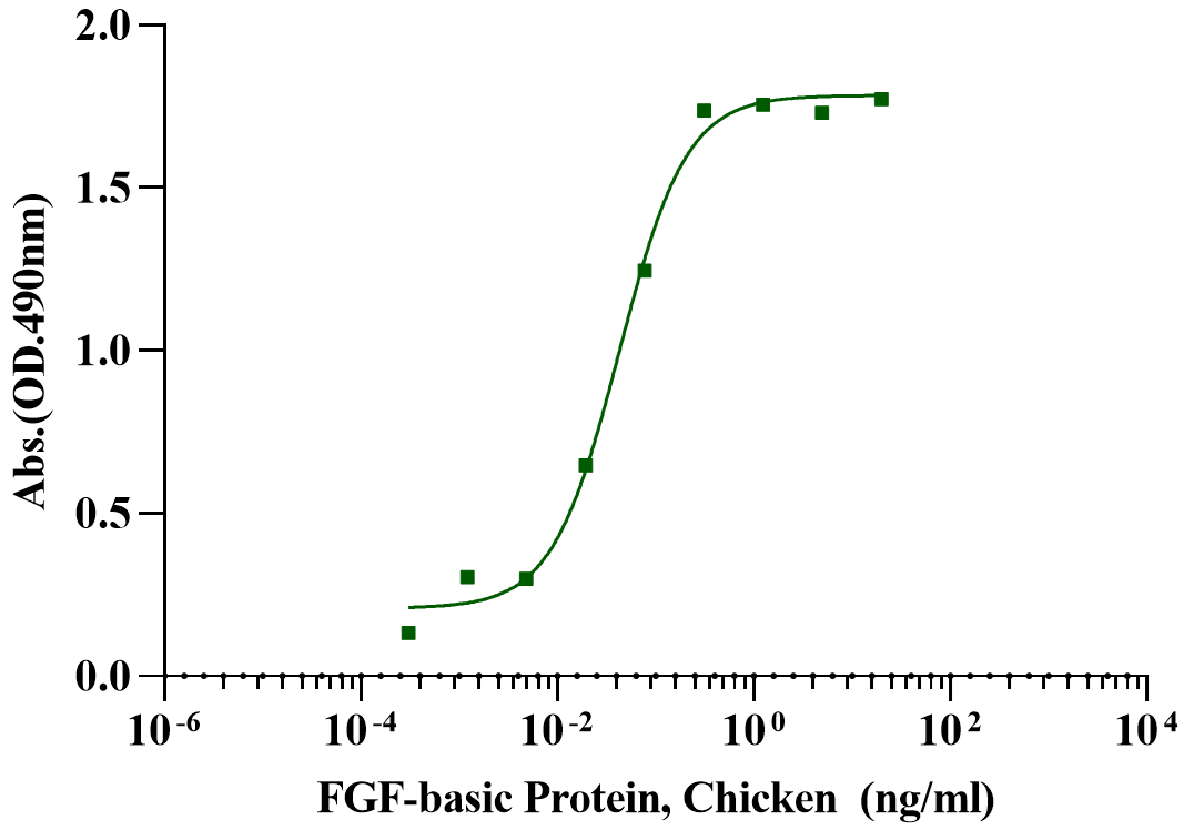 FGF-basic Protein, Chicken