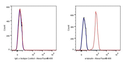 Mouse mAb IgA, κ Isotype Control (S-844-79-1)