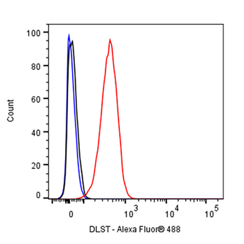 DLST Rabbit Polyclonal Antibody