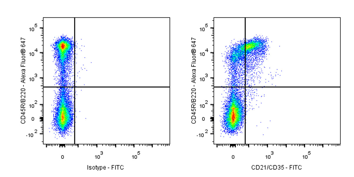 FITC Rat Anti-Mouse CD21/CD35 Antibody (7E9)