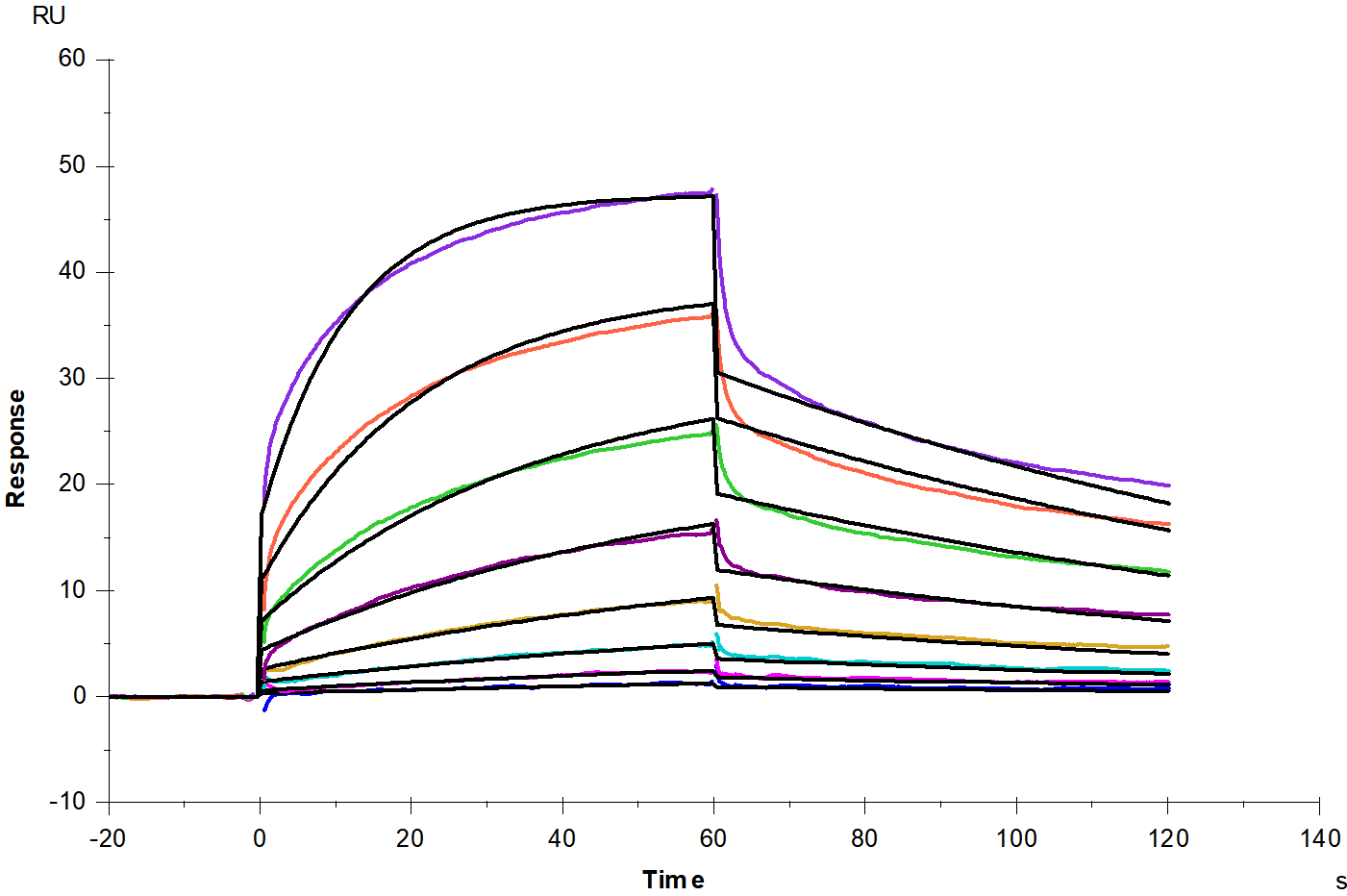 IgG3 Fc Protein, Human
