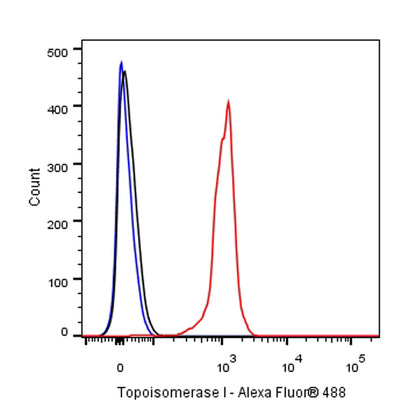 S-RMab®Topoisomerase I Recombinant Rabbit mAb (S-R209)