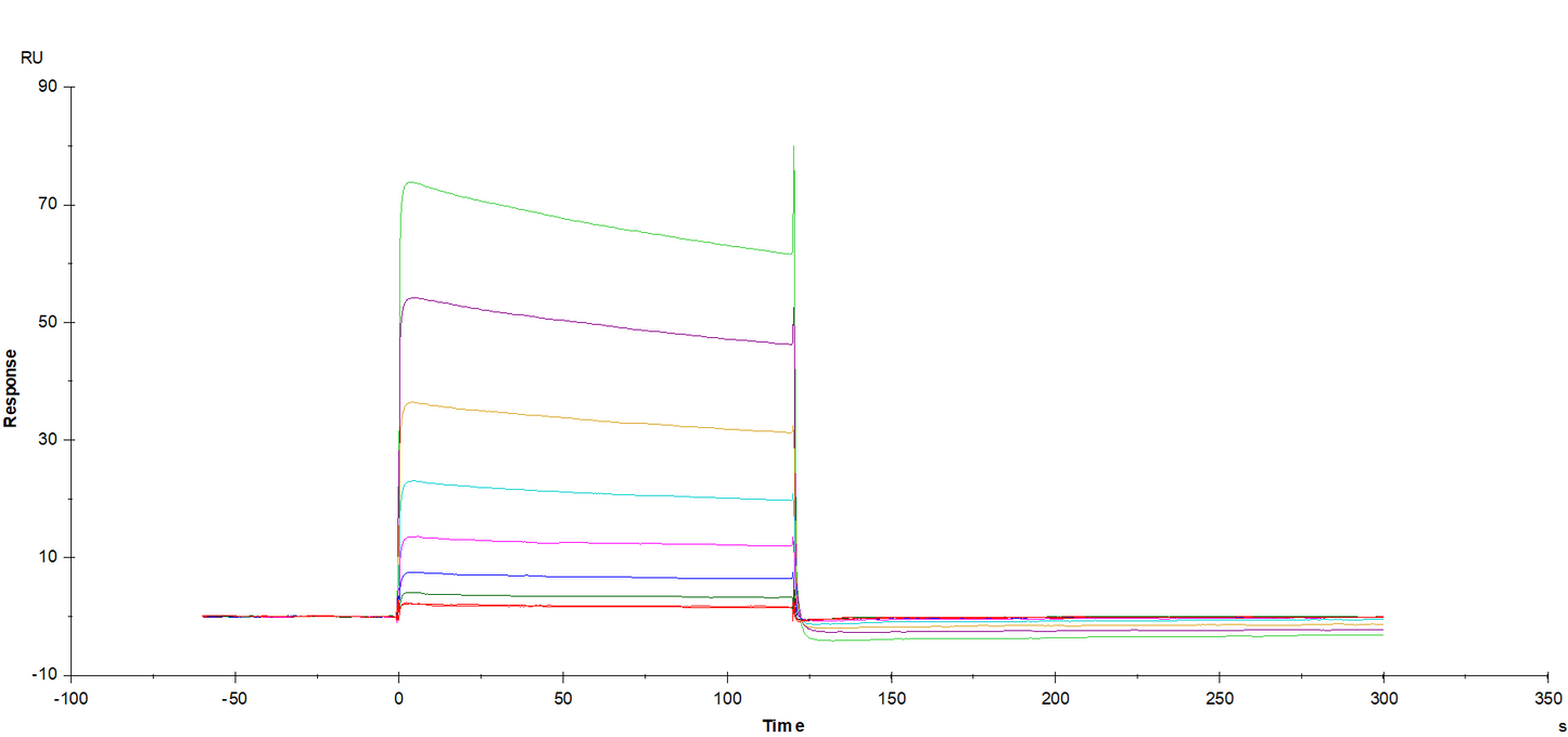 Fc γ RIIIb/CD16b(NA1) His Tag Protein, Human
