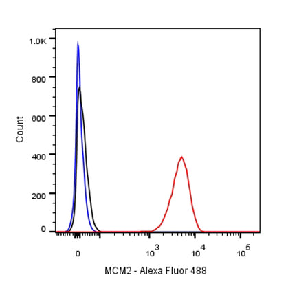 S-RMab® MCM2 Recombinant Rabbit mAb (SDT-018-68)