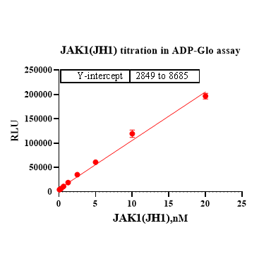 Product image media