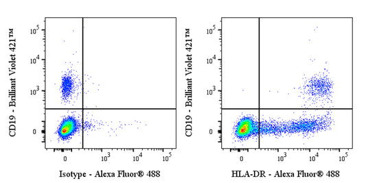Mouse Anti-Human HLA-DR Antibody (TU36)
