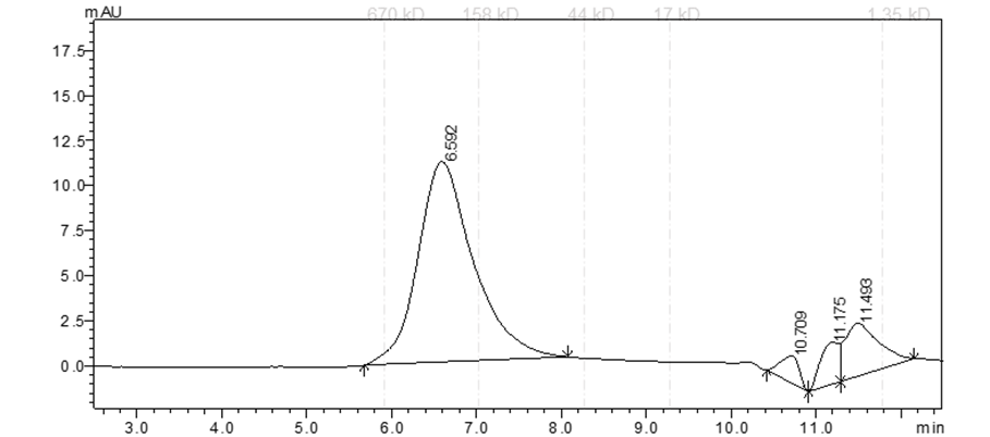 BTK[M437R] Protein