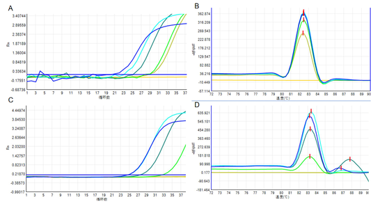 Extraction-free One-Step RT-qPCR Kit（SYBR Green）