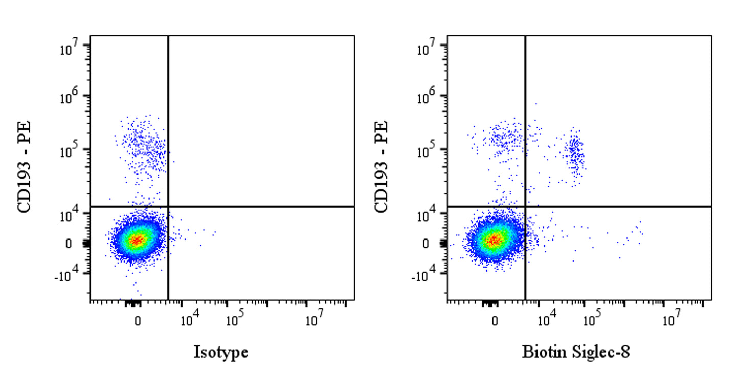 Biotin Mouse Anti-Human Siglec-8 Antibody (S-4479)