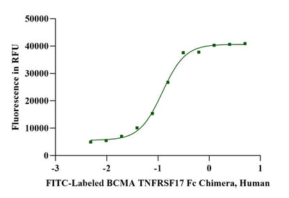 FITC-Labeled BCMA/TNFRSF17 Fc Chimera Protein, Human