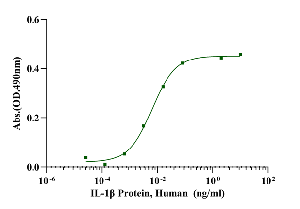 IL-1β Protein, Human