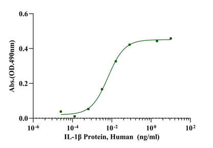 IL-1β Protein, Human