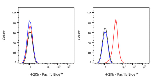 Pacific Blue Mouse Anti-Mouse H-2Kb Antibody (AF6-88.5)