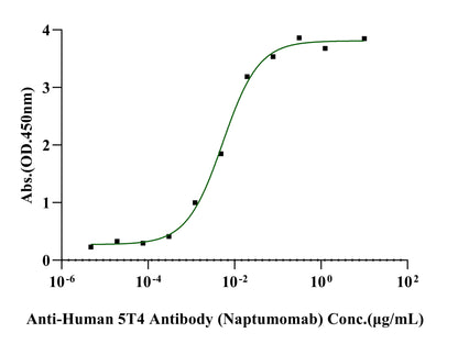 Biotinylated TPBG/5T4 Fc&Avi Tag Protein, Human
