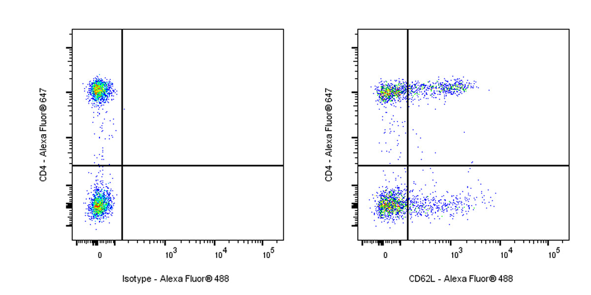 Alexa Fluor® 488 Mouse Anti-Human CD62L Antibody (S-937-77)