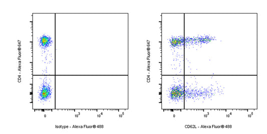 Alexa Fluor® 488 Mouse Anti-Human CD62L Antibody (S-937-77)