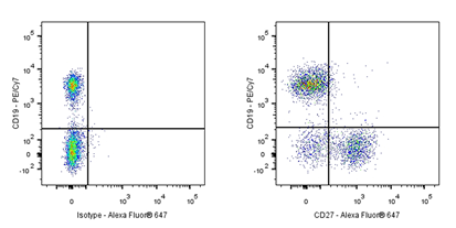 Alexa Fluor® 647 Armenian hamster Anti-Mouse/Rat/Human CD27 Antibody (S-R620)