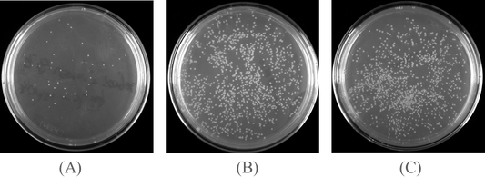 Fast ligation Kit